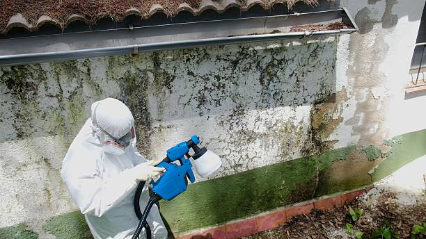 Top rated local Attic Mold Removal specialists in Furlong, PA